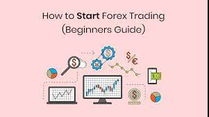 Forex Trading Basics and Key Terms For Beginners 2024