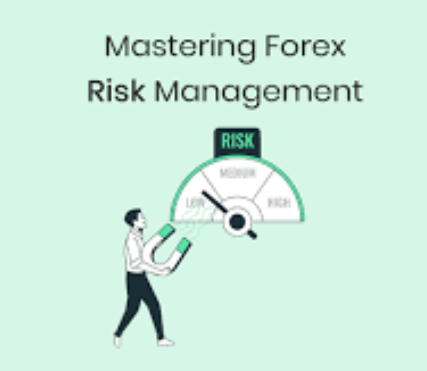 Risk Management Effective Ways To Guard Capital in Forex 2024